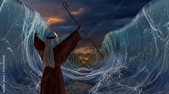 'Video thumbnail for Moses did cross the Red Sea after discovering an Ancient Egyptian Army submerged!'