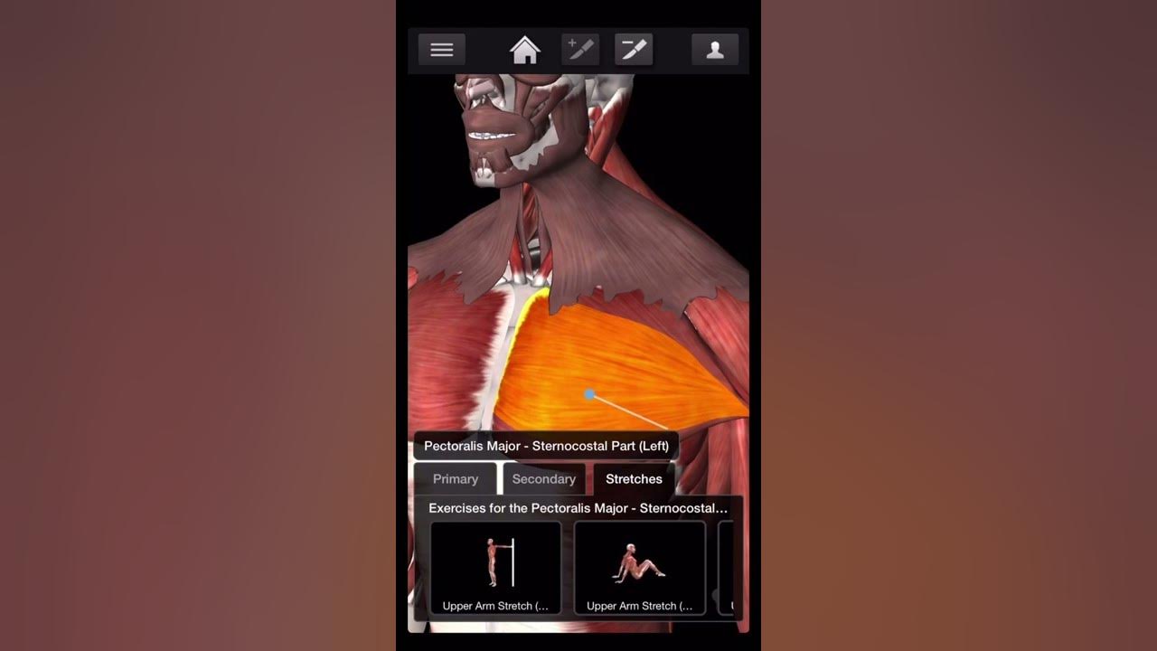 Playlist thumbnail for Health and fitness