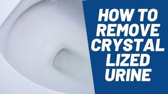 'Video thumbnail for How to Remove Crystallized Urine In 5 Easy Steps'