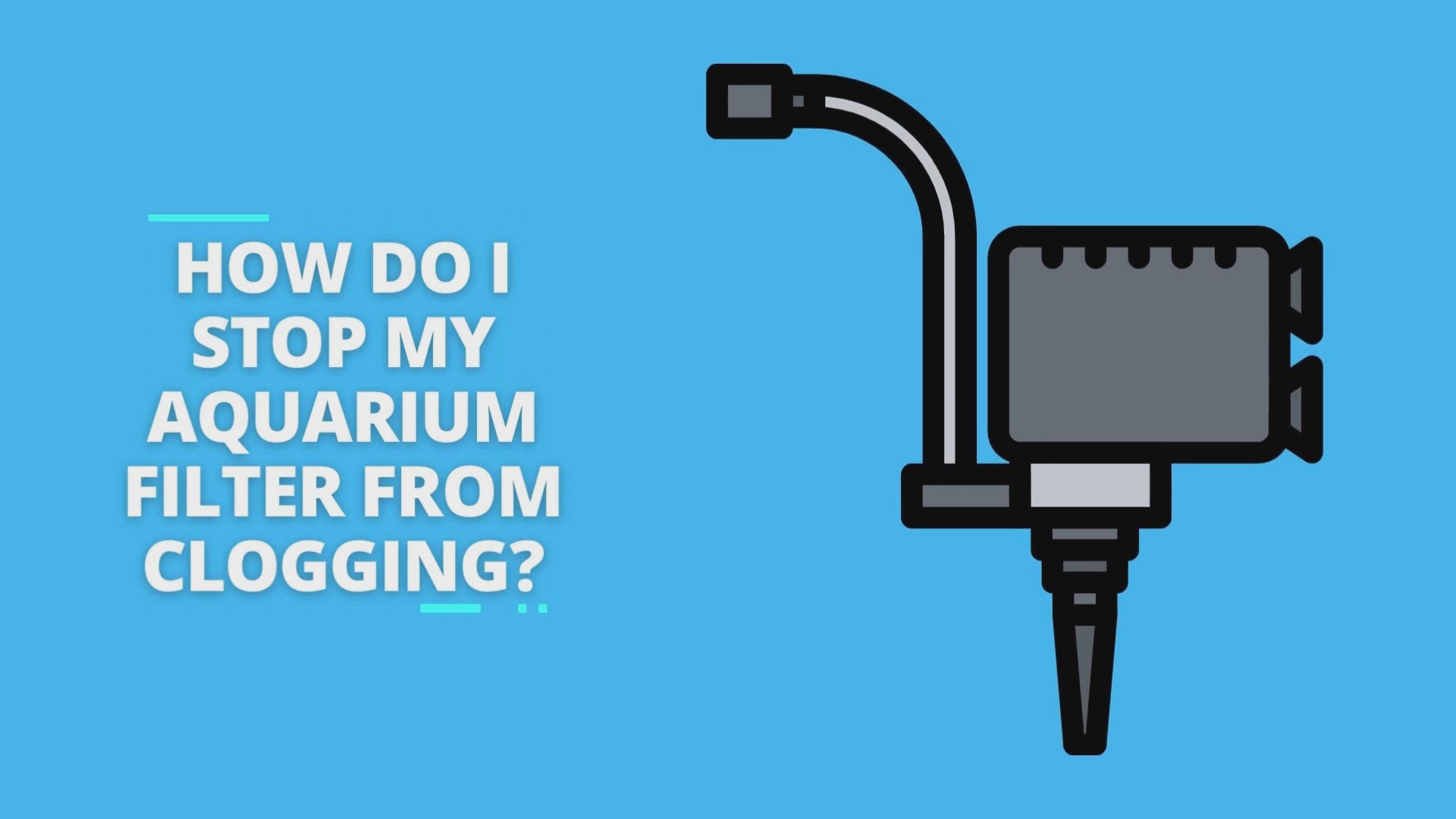 'Video thumbnail for How Do I Stop My Aquarium Filter From Clogging?'