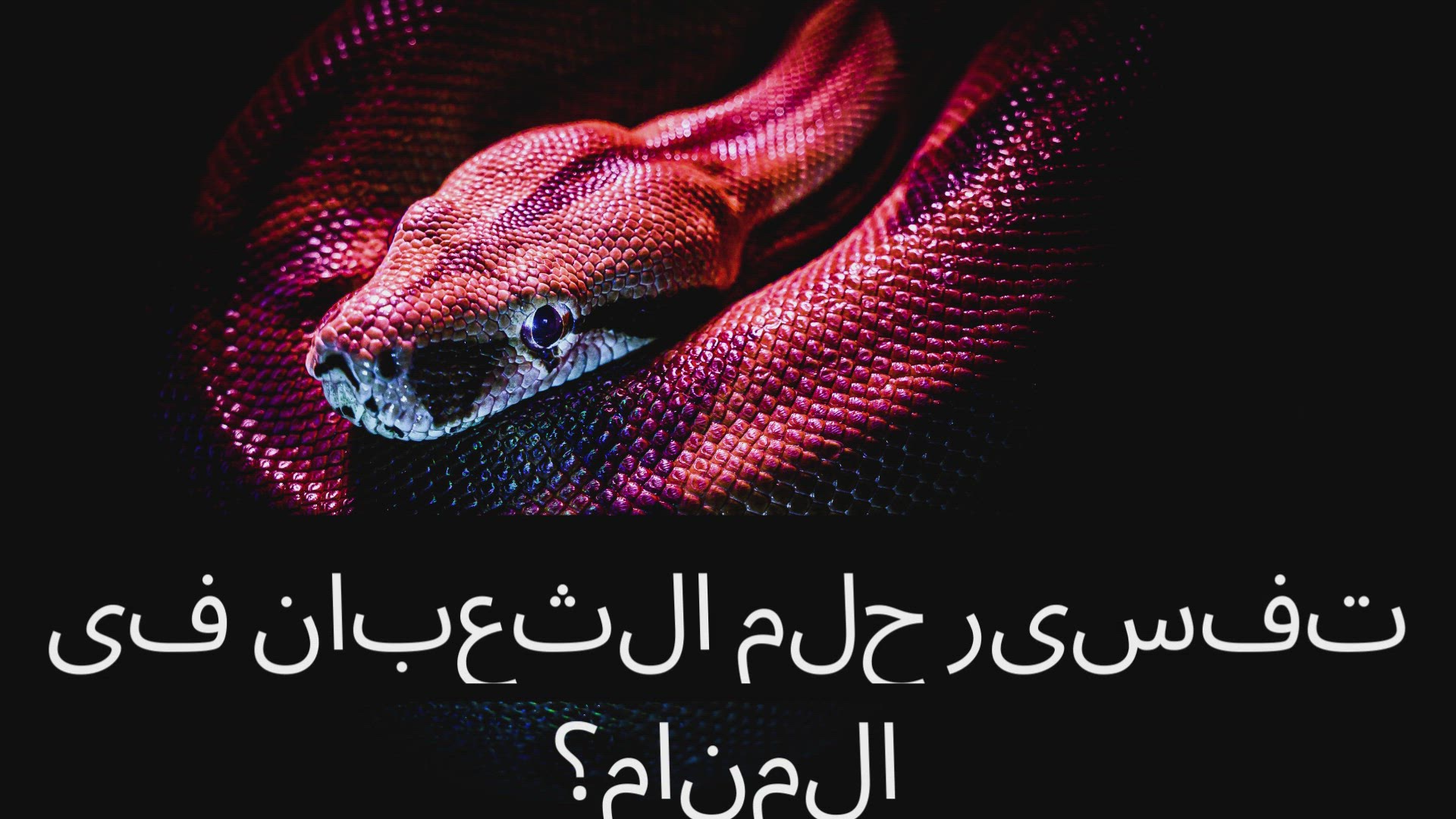 Video thumbnail for تفسير حلم الثعبان في المنام؟