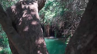 'Video thumbnail for Los beneficios inesperados del agua de manantial para la salud y la belleza de las mujeres'