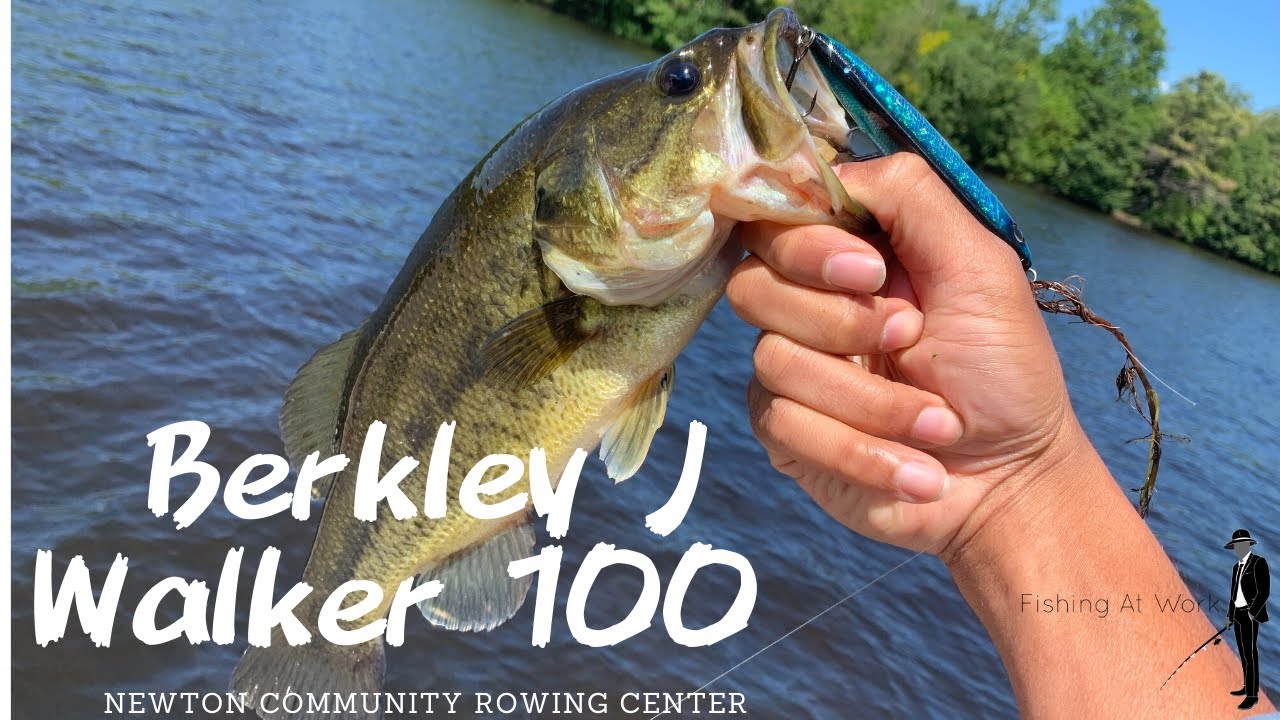 'Video thumbnail for berkley j walker 100 largemouth bass'
