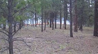'Video thumbnail for Black Forest Fire June 13 2013'