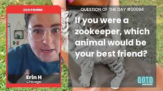 Video thumbnail for Lions would be Erin's animal BFFs. Cat person + big cats = the perfect duo!