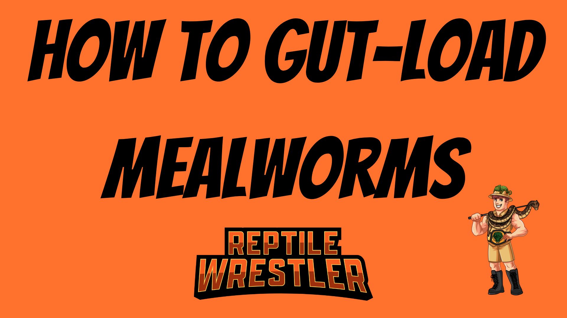 Video thumbnail for How to Gut Load Mealworms?