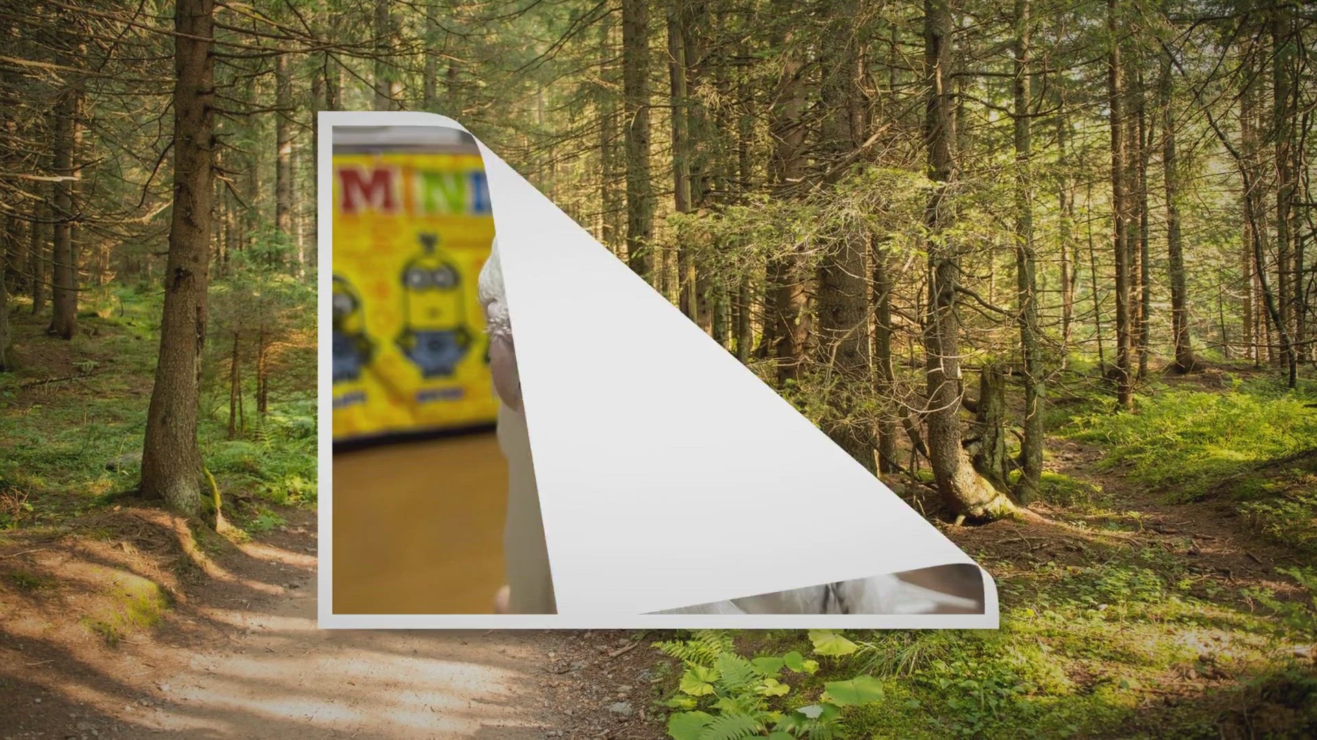 Video thumbnail for How To Help A Molting Cockatiel