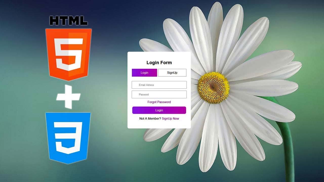 Login page in HTML with CSS code with the ba... | Open Video