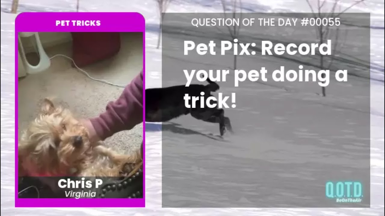 Video thumbnail for Chris and his dog attempt an astounding trick. So cute!