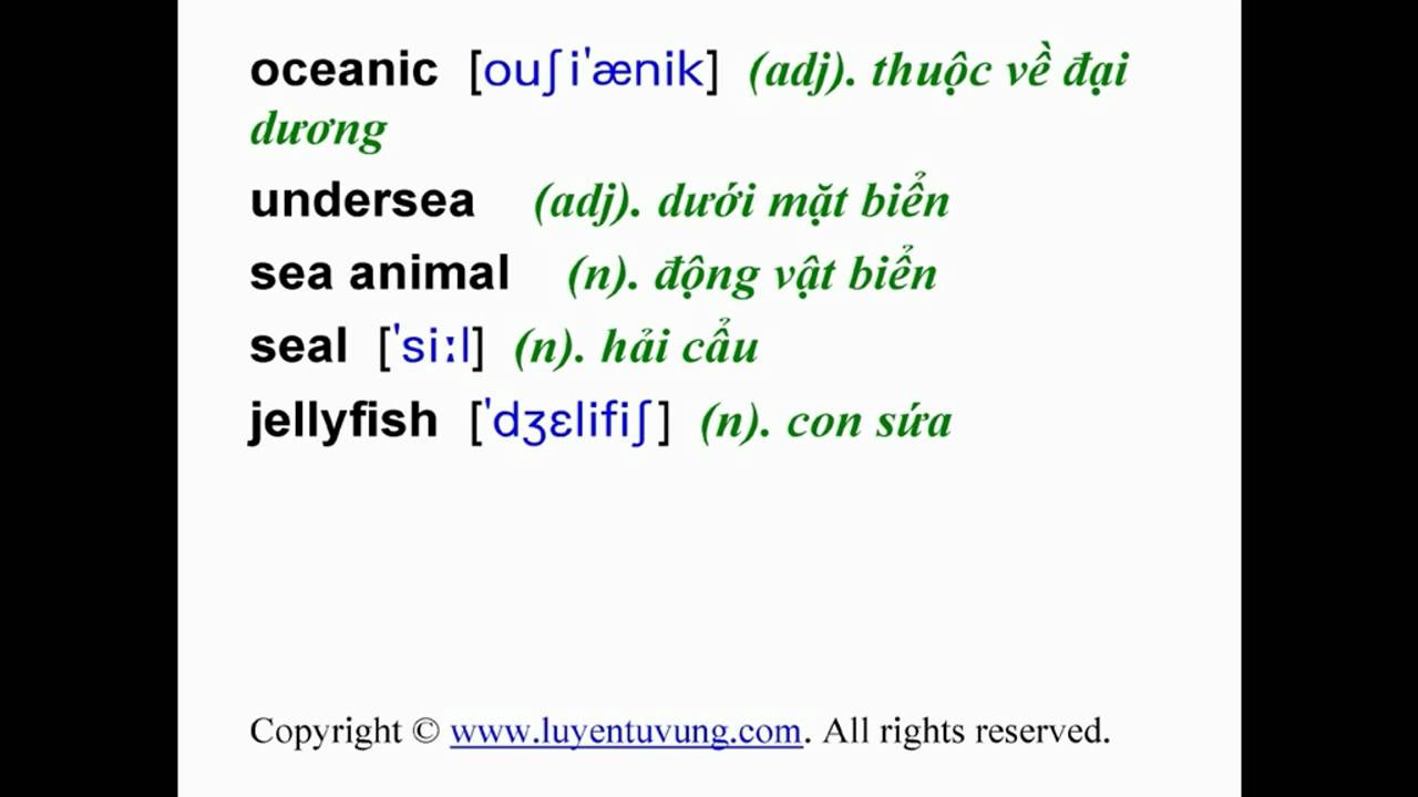 'Video thumbnail for Learn English Vocabulary - Grade 10 - Unit 09 - Lesson 01'
