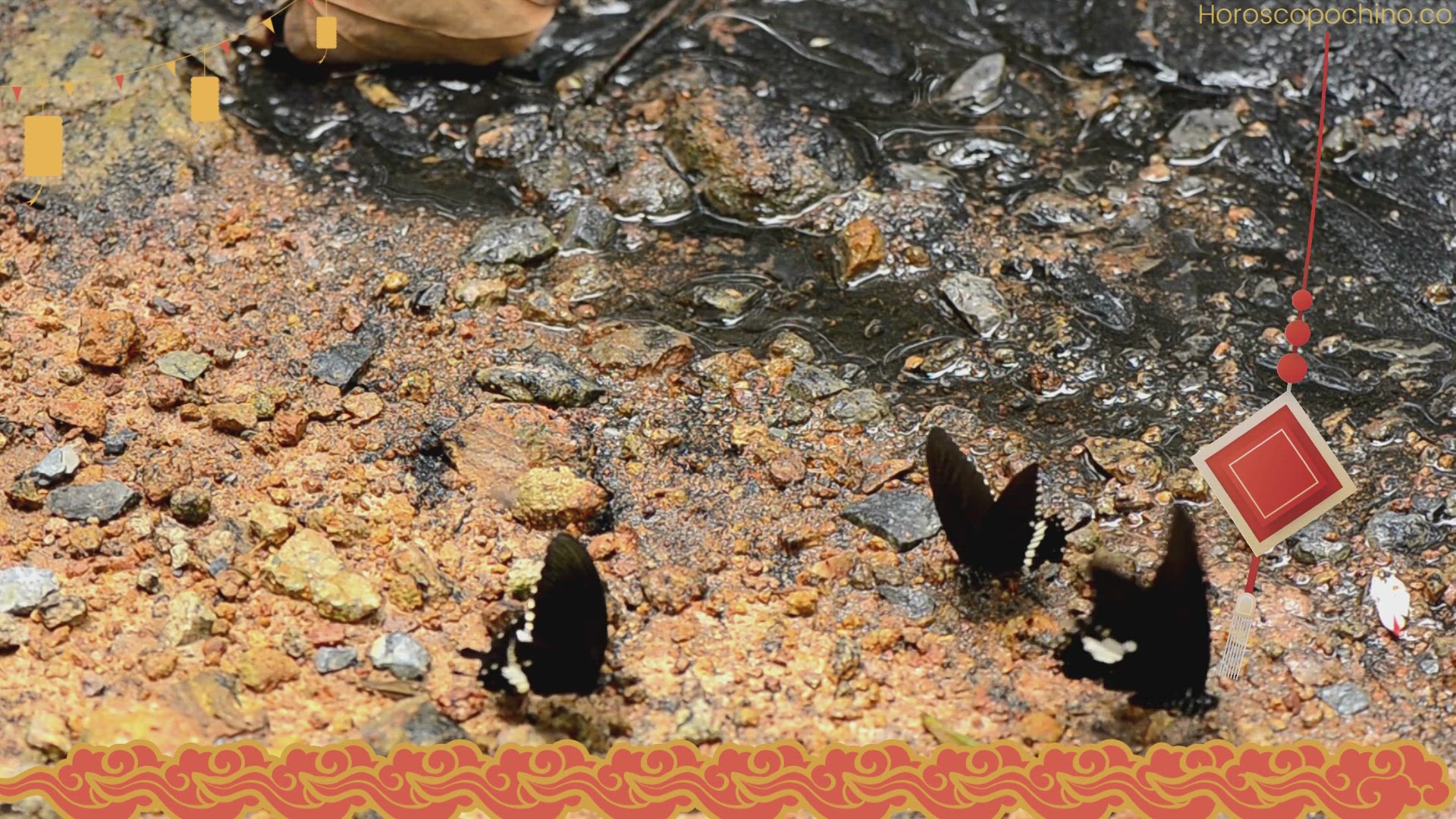 Playlist thumbnail for andlig