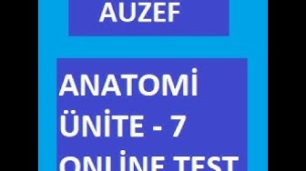 'Video thumbnail for Anatomi Ünite - 7 Sorular ve Notlar ( MERKEZİ SİNİR SİSTEMİ )'