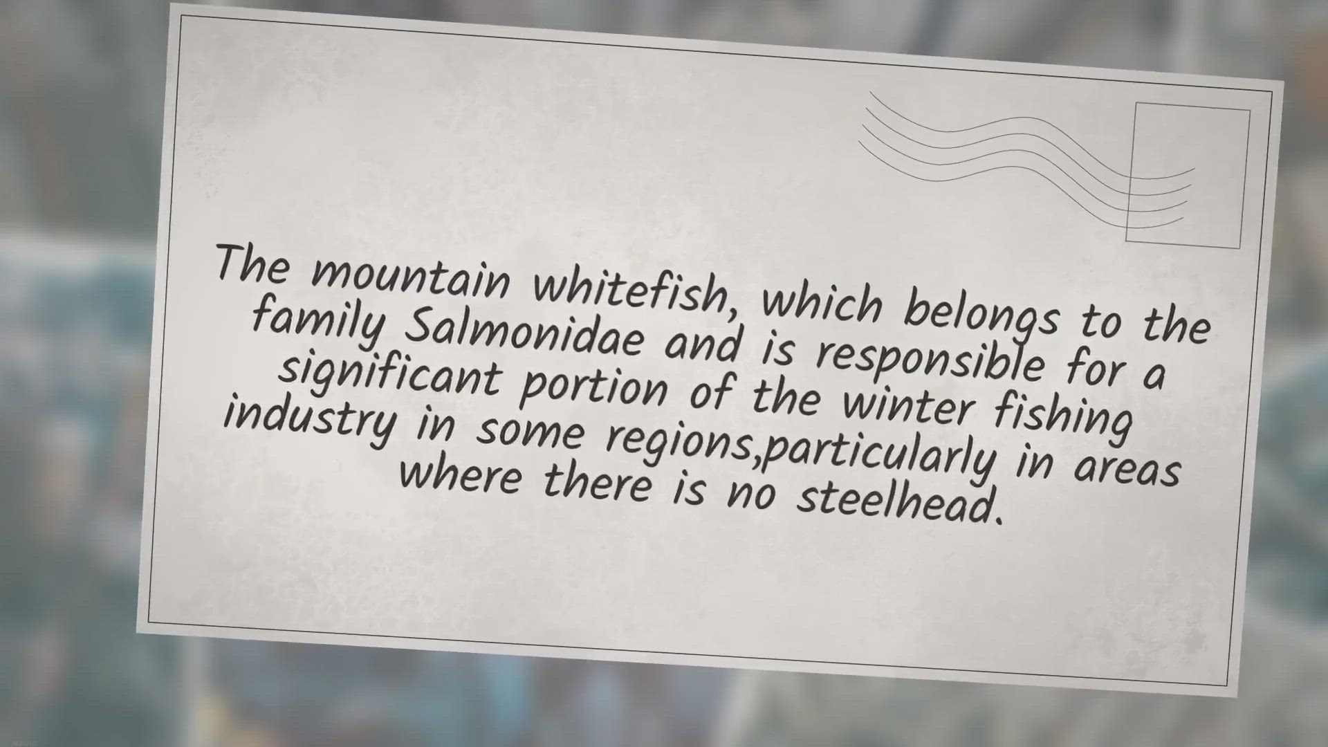 Video thumbnail for How to fish for Whitefish, Mountain