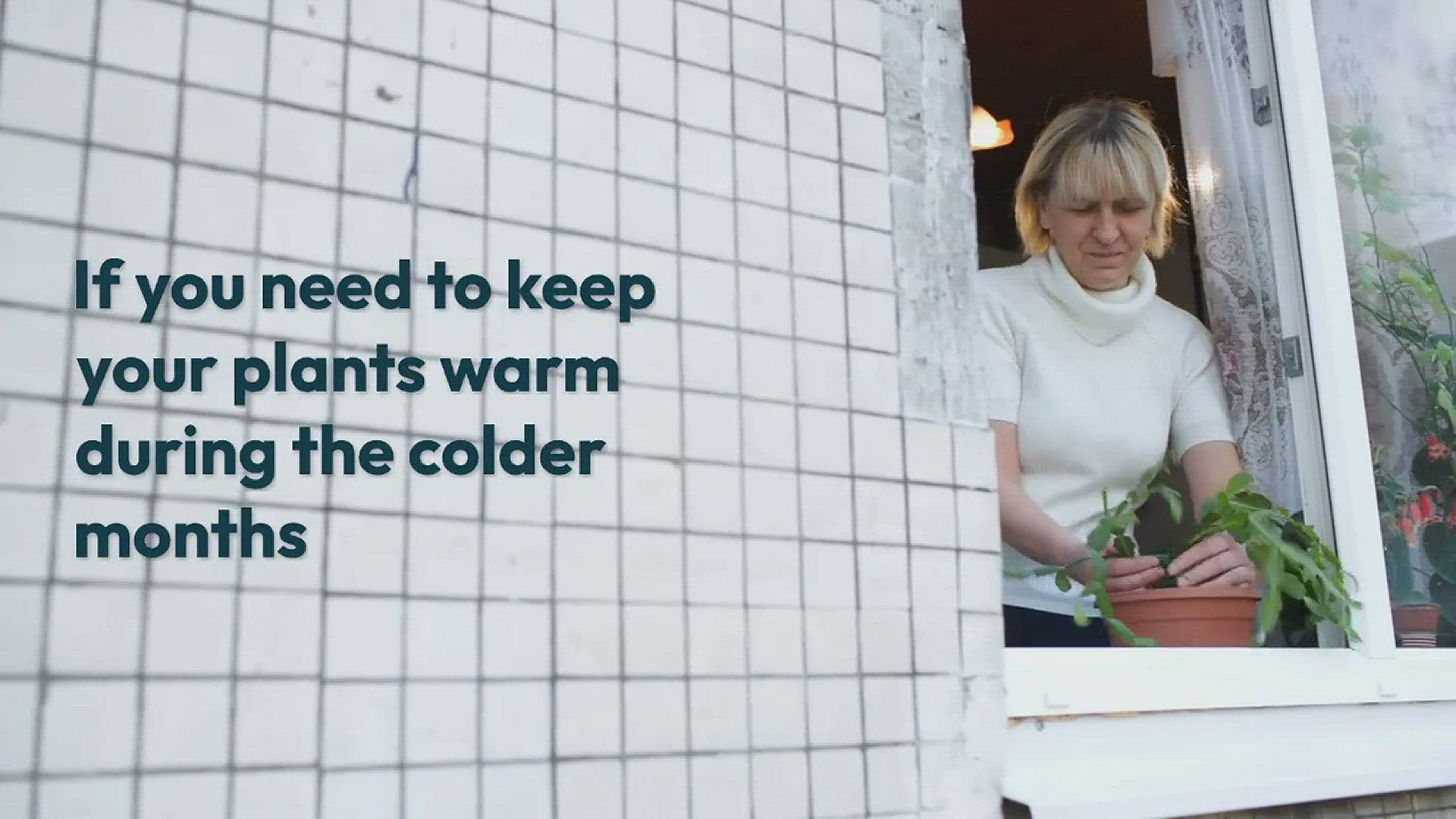 Video thumbnail for Can You Put Plants on A Radiator?