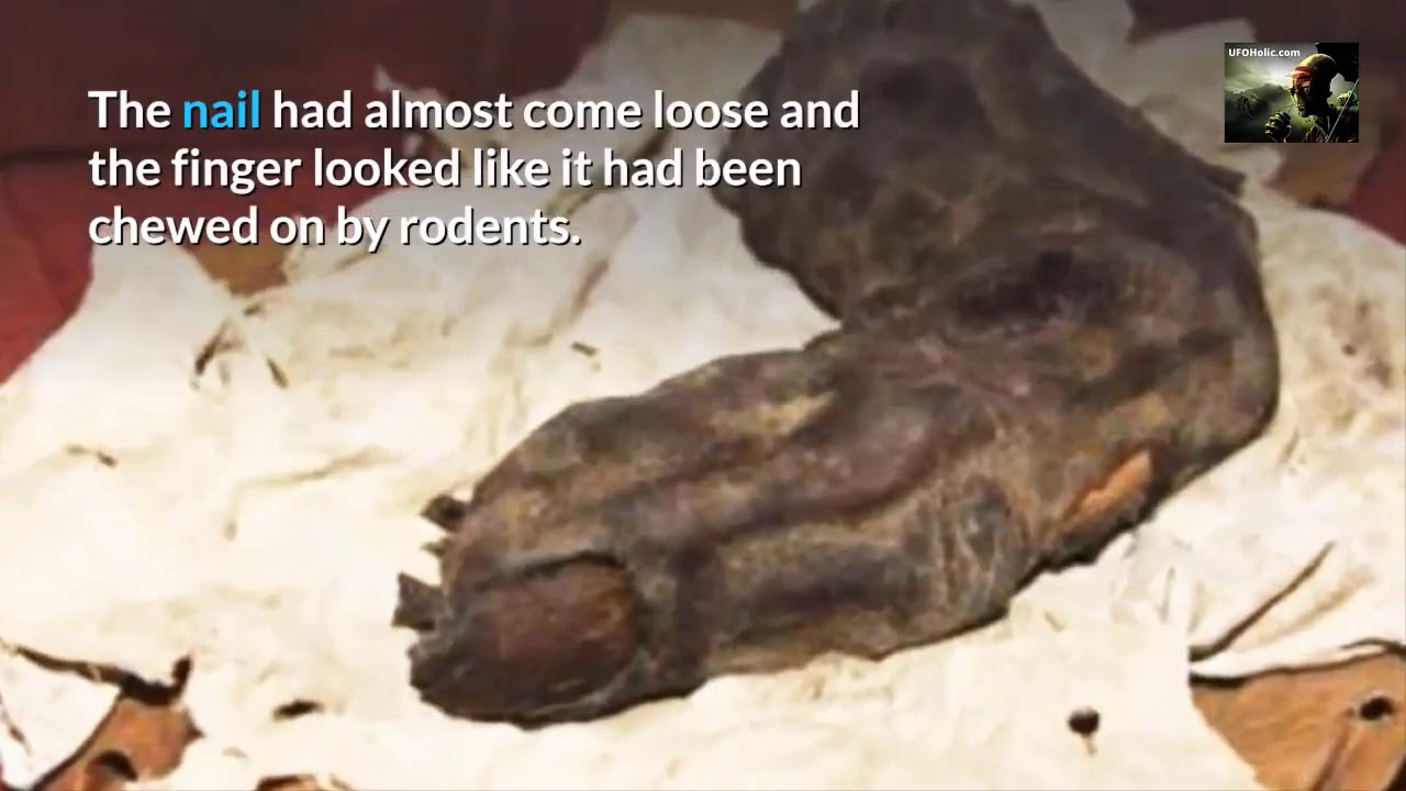 'Video thumbnail for Mummified Finger Belonging To Ancient Giant Revealed By Swiss Man'