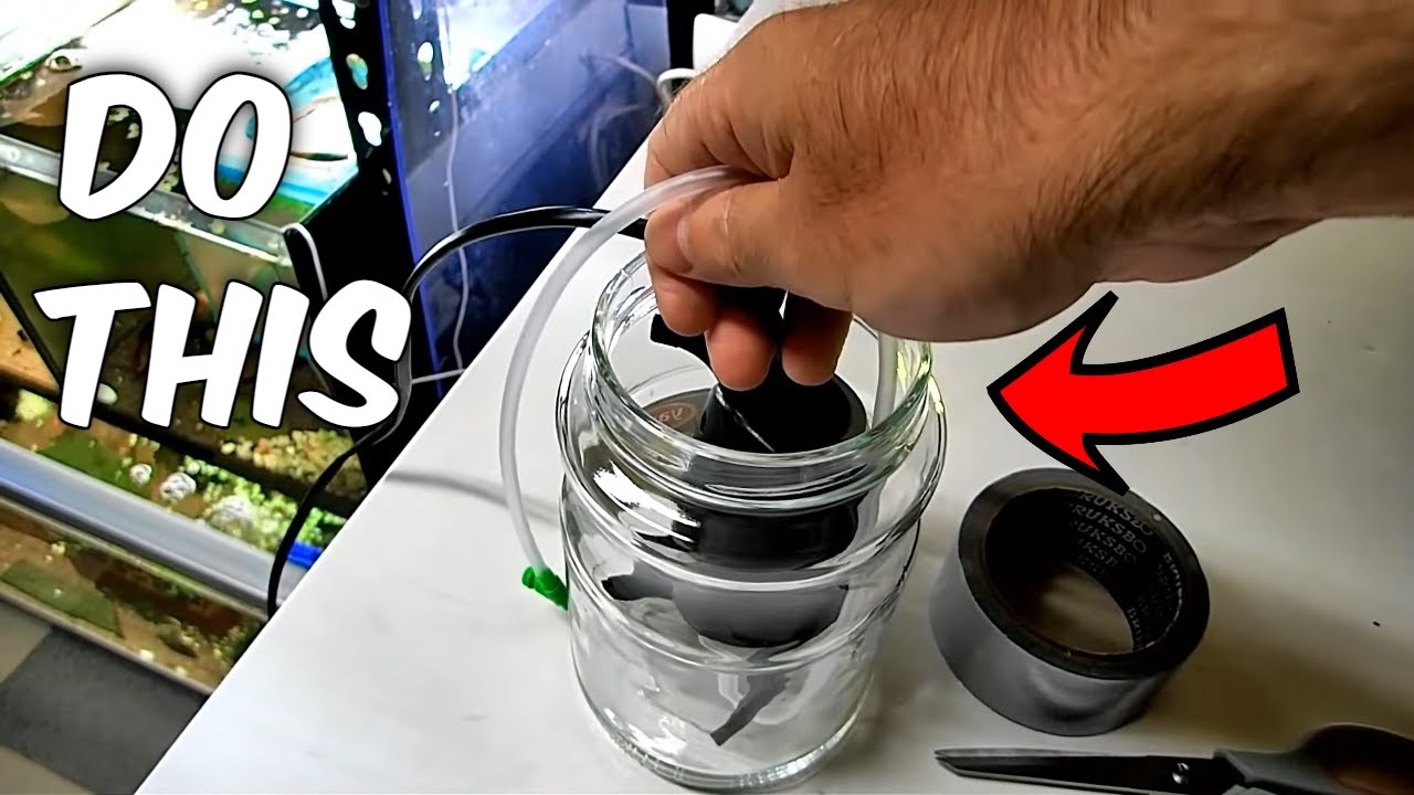 'Video thumbnail for How to silence a noisy aquarium air pump'