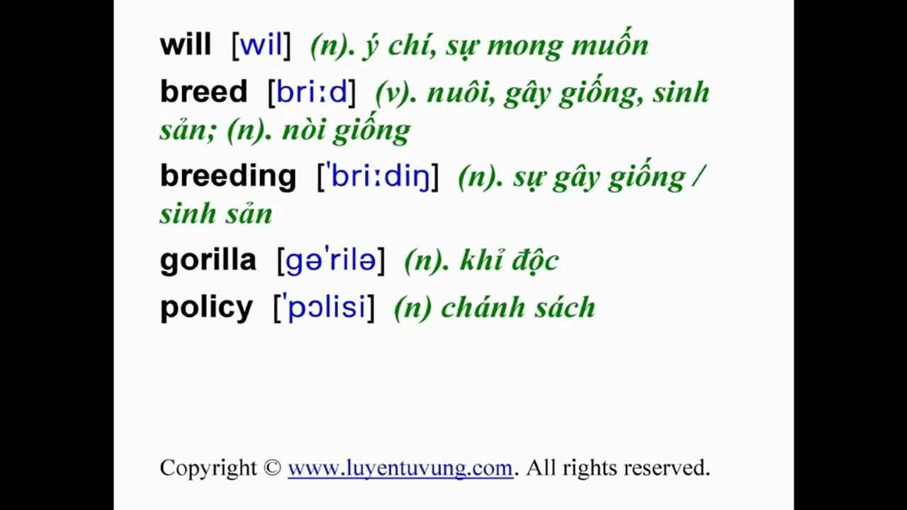 'Video thumbnail for Learn English Vocabulary - Grade 10 - Unit 10 - Lesson 02'