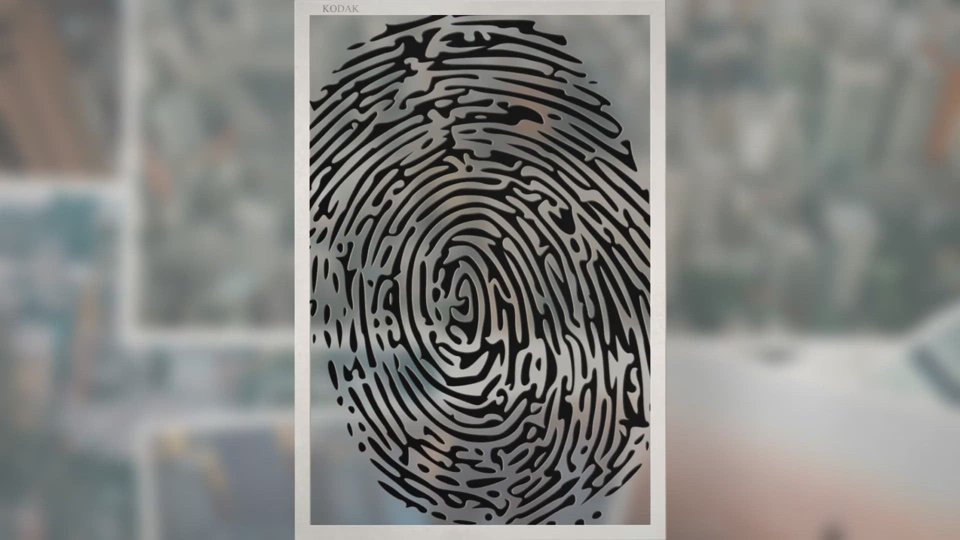 Patent Fingerprints