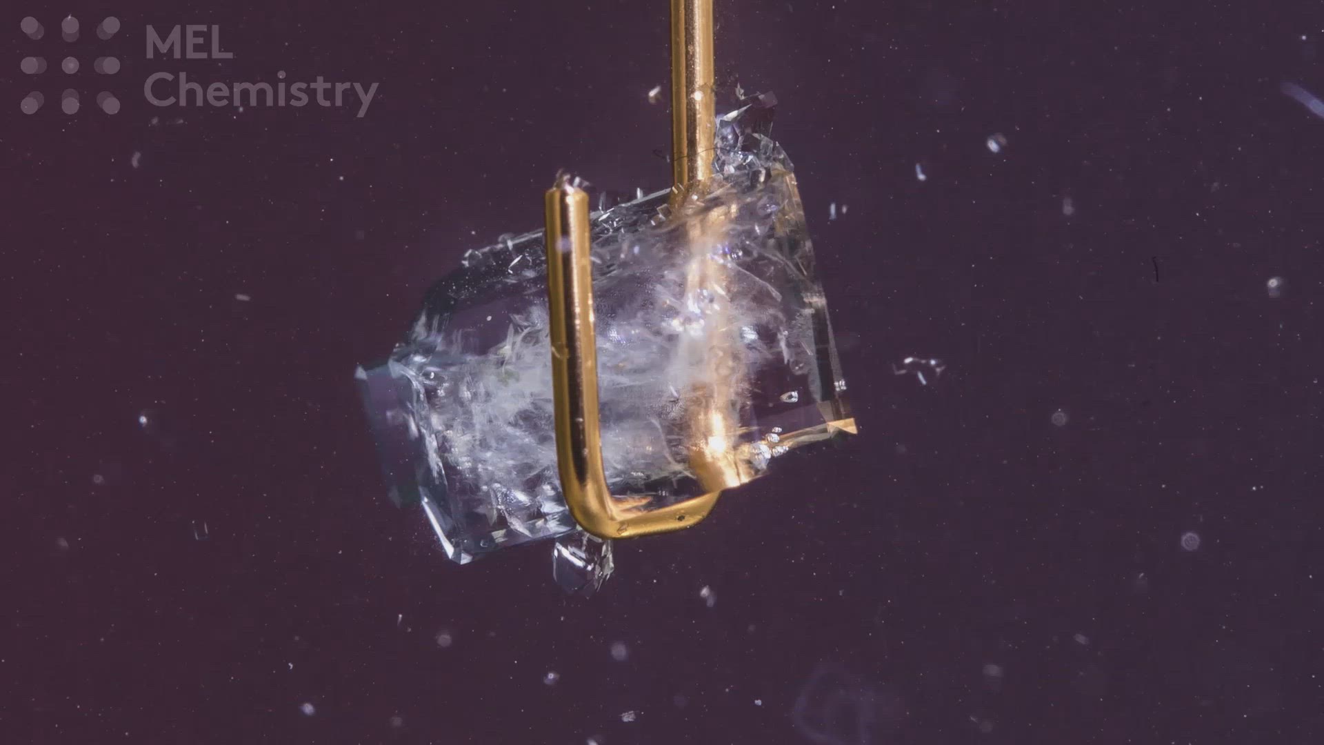 Video thumbnail for MEL Science Promo Video 4