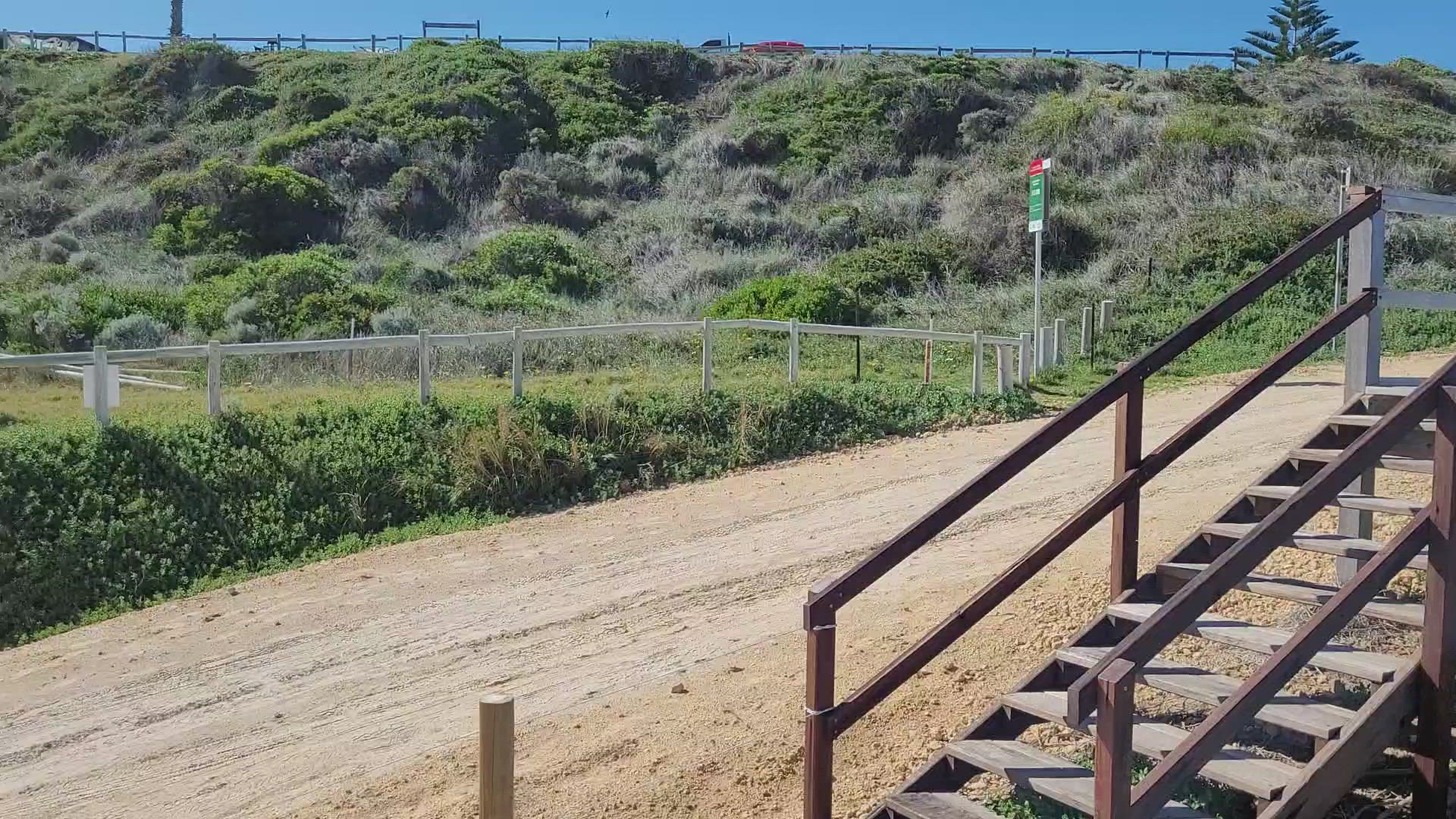 Video thumbnail for Seabird video 5