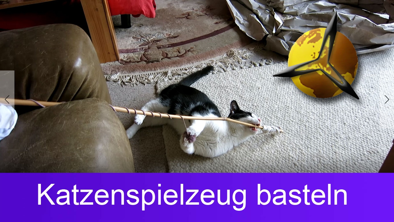 'Video thumbnail for Katzenspielzeug selber basteln / bauen'