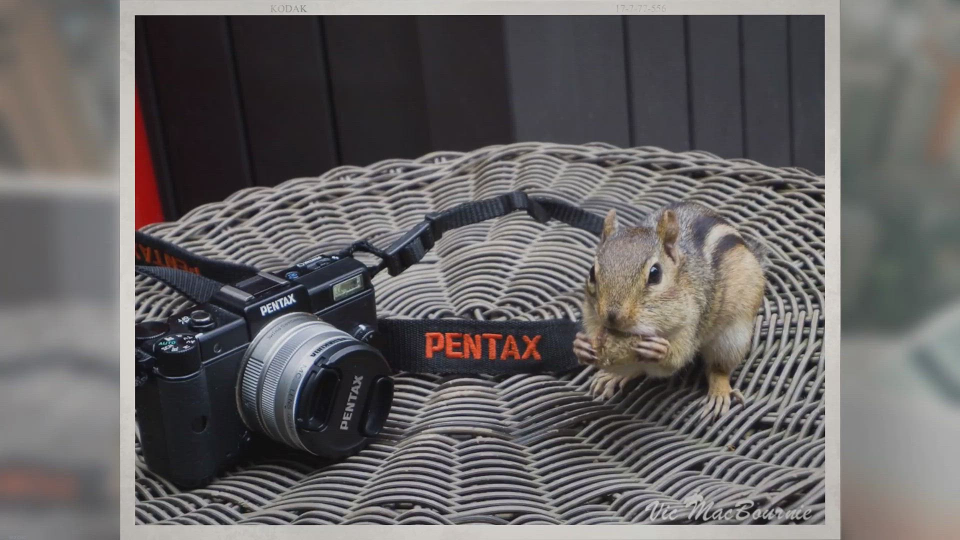 'Video thumbnail for Pentax Q: Do you need one in 2022'