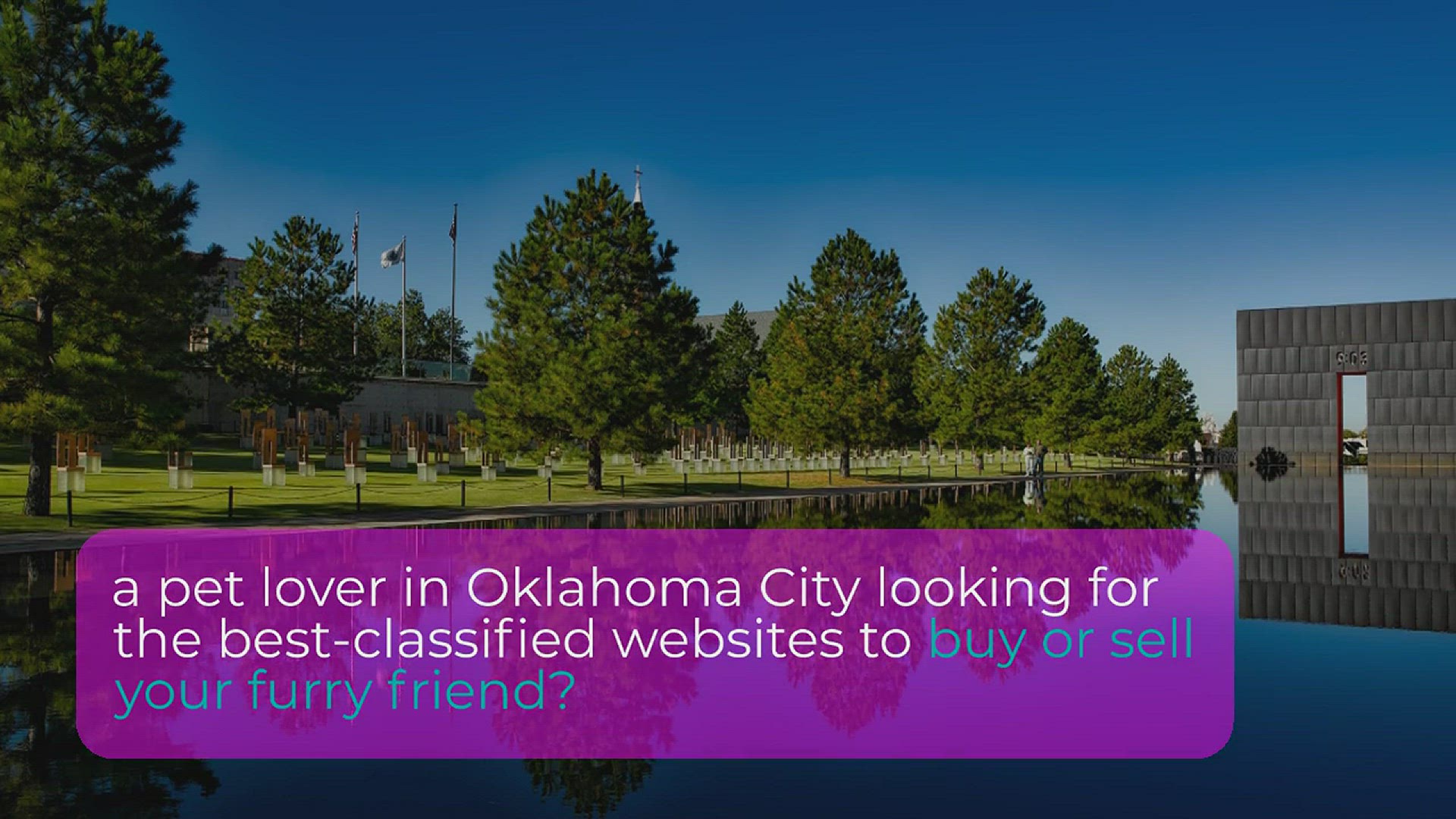 'Video thumbnail for 10 Best Oklahoma City Pet Classifieds Websites'