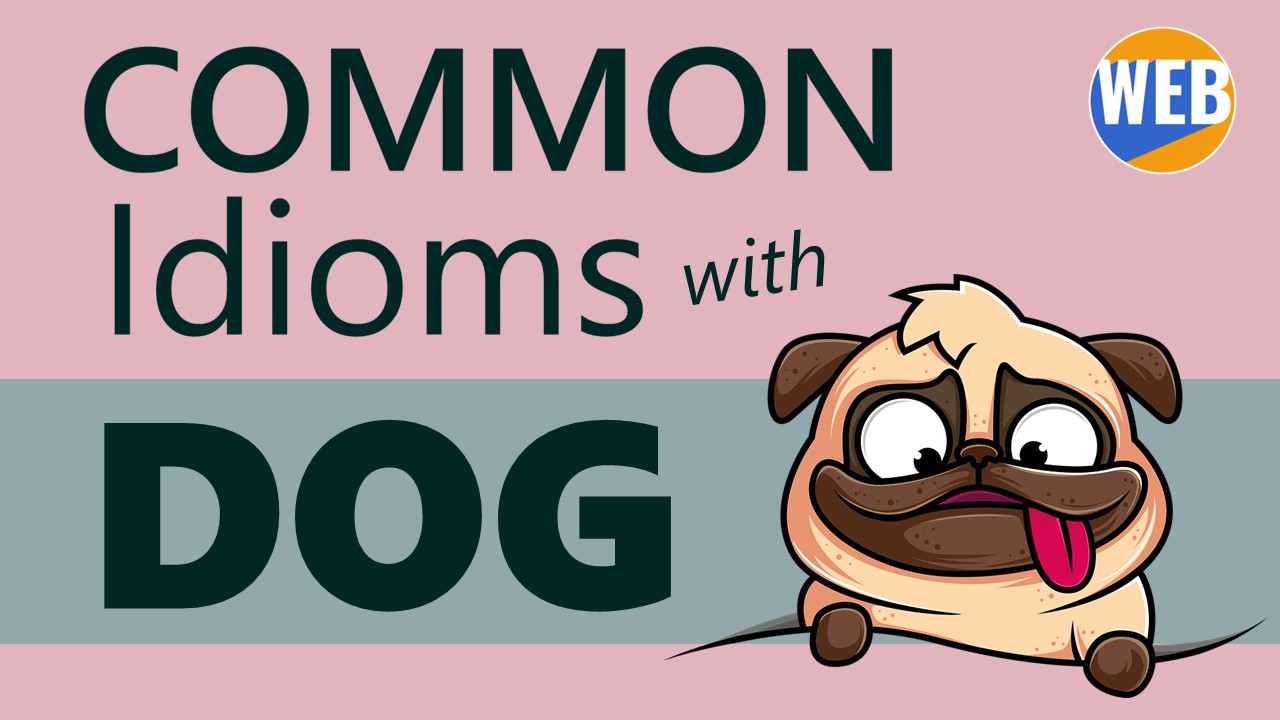 'Video thumbnail for Common Dog Idioms (That Native Speakers Use!)'