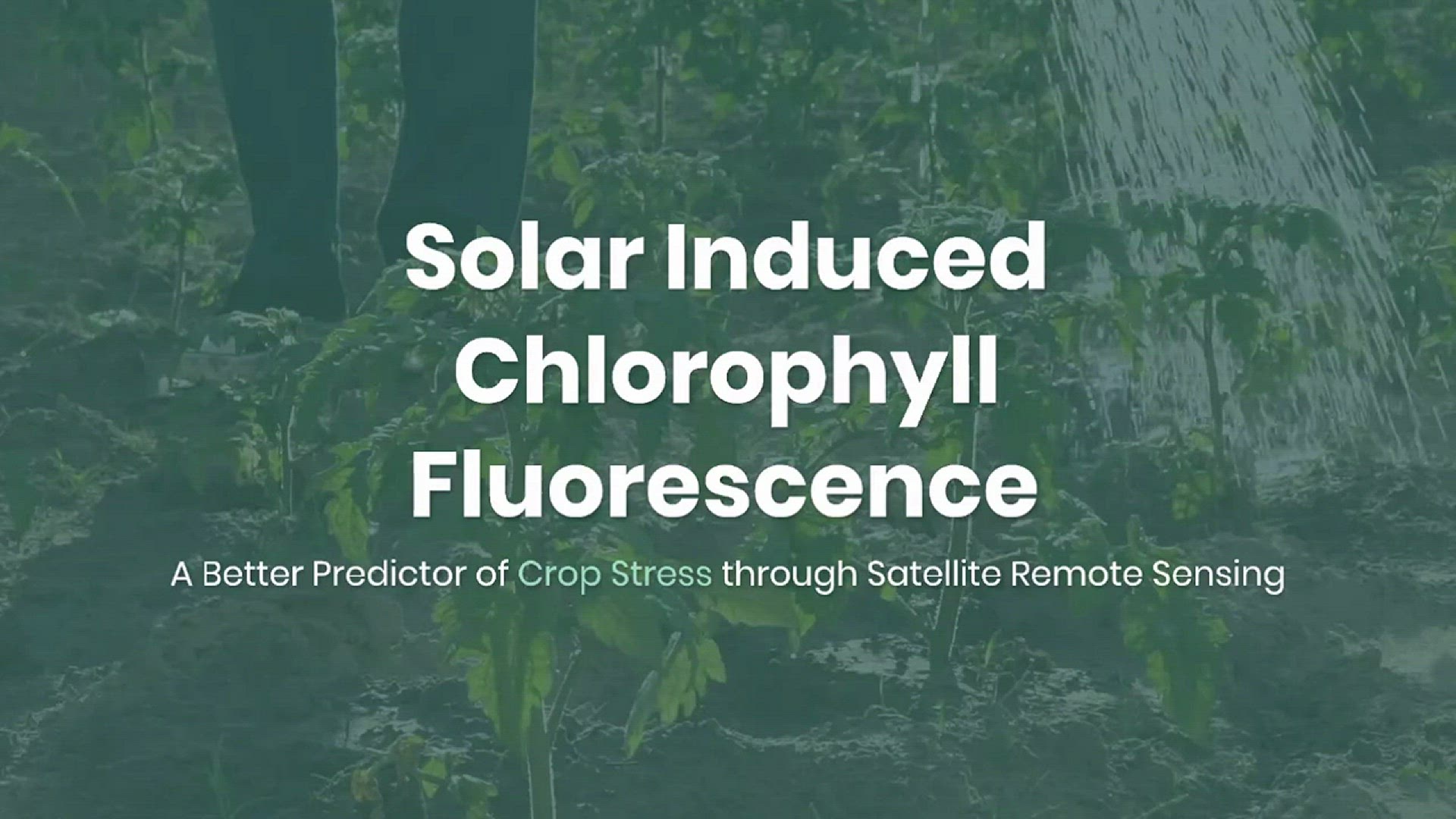 'Video thumbnail for Solar Induced Chlorophyll Fluorescence for Crop Stress Monitoring'