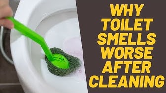 'Video thumbnail for Why Toilet Smell Worse After Cleaning (7 Reasons With Solutions)'