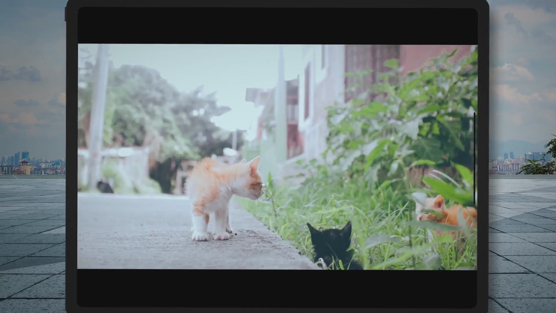 'Video thumbnail for How To Unclog Cat Litter From a Toilet?'