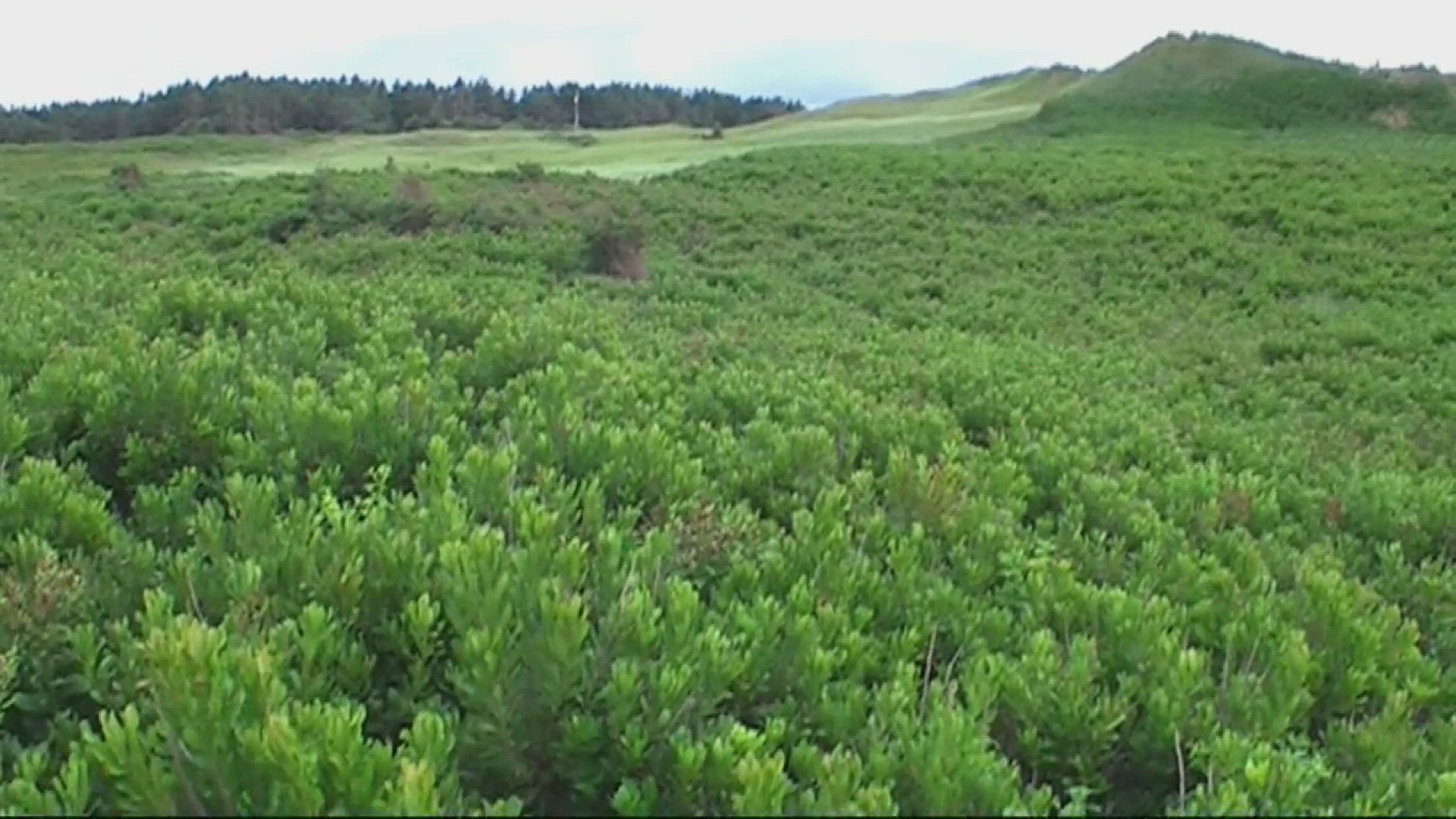'Video thumbnail for Roadtrip durch Prince Edward Islands Südosten'