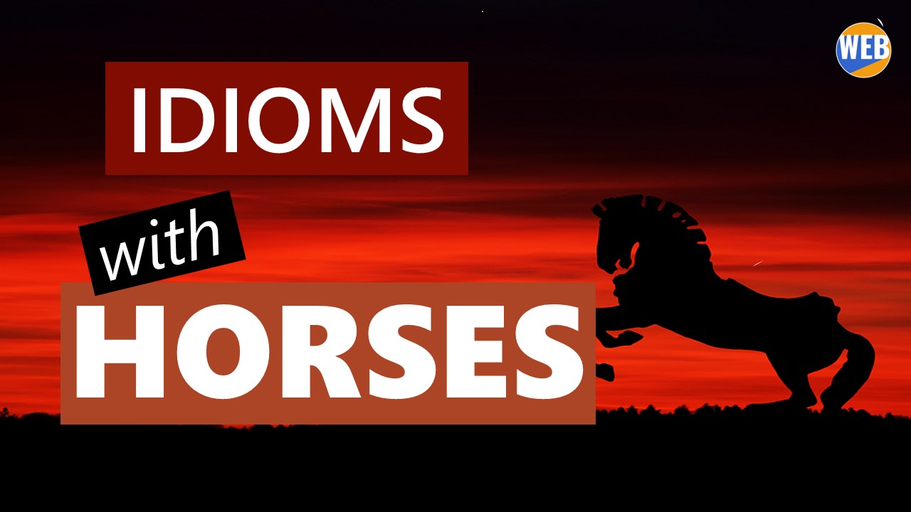 'Video thumbnail for Learn some Common Horse Idioms'