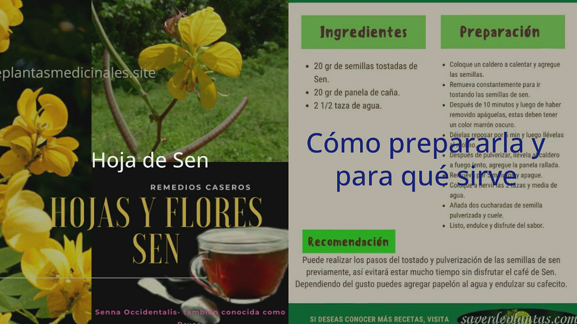 Video thumbnail for Té de Sen o brusca