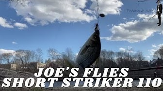 'Video thumbnail for Joes Flies Short Striker 110 Review'