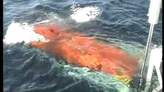 'Video thumbnail for DRDO AUV 1'