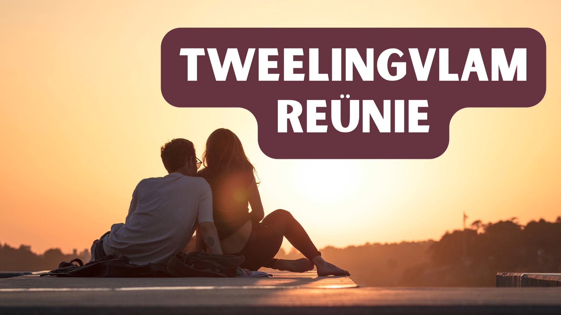 Video thumbnail for Tweelingvlam Reünie (Nl)