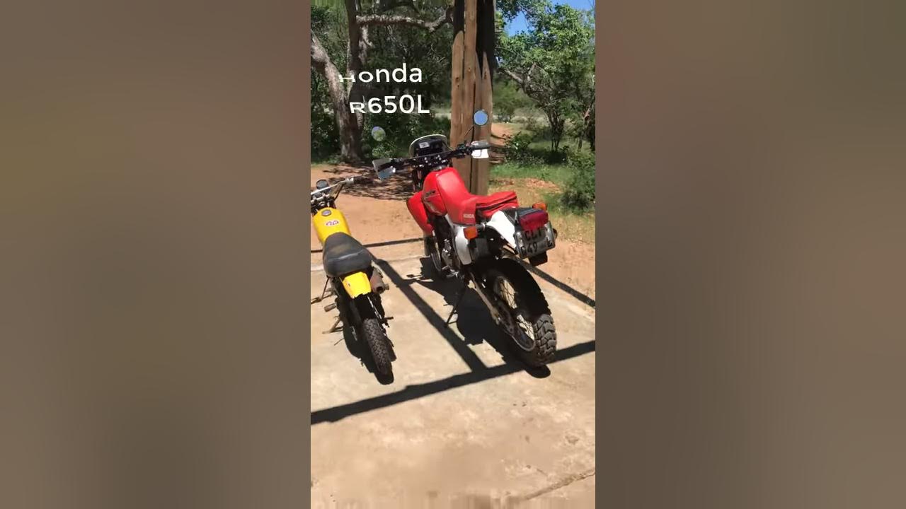 Video thumbnail for Honda XR650L, Beta Rev3 and Yamaha MR50 | Our Current Garage #Shorts