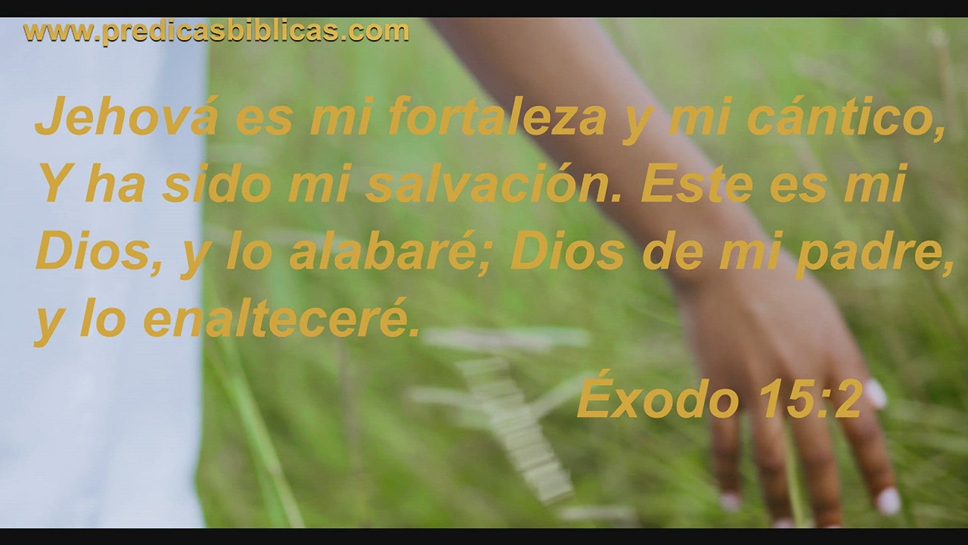 'Video thumbnail for 🙏 Mensajes cristianos de buenos días 🙏'