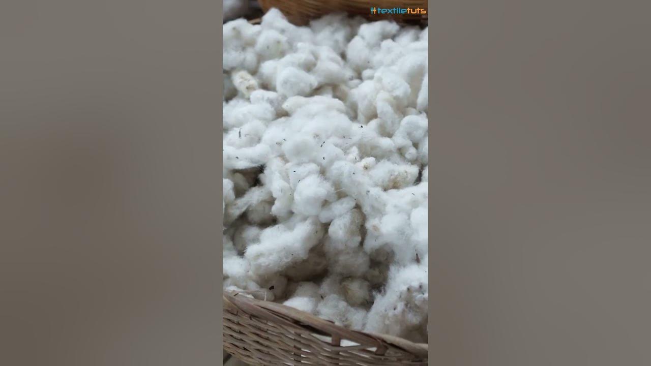 Details 61+ why are pants so expensive in.eteachers