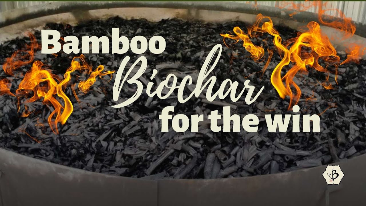 'Video thumbnail for Success with Bamboo Biochar'