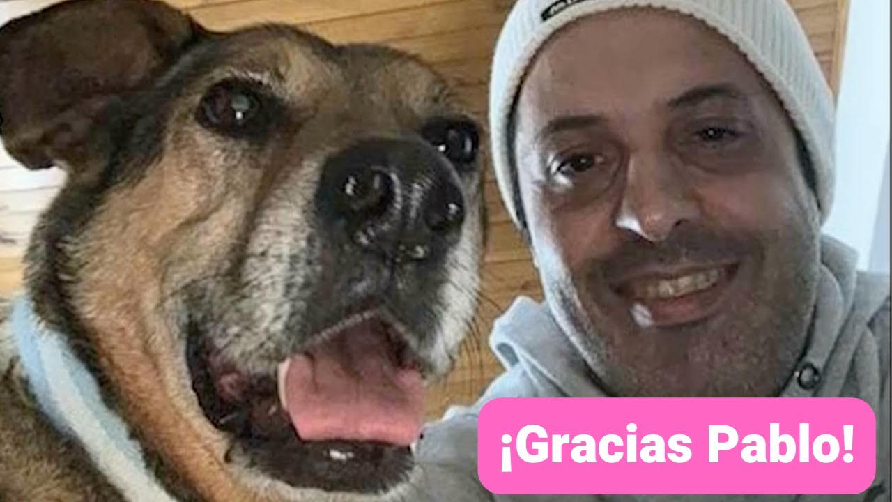 25 mg de benadryl pueden ayudar a la ansiedad del perro