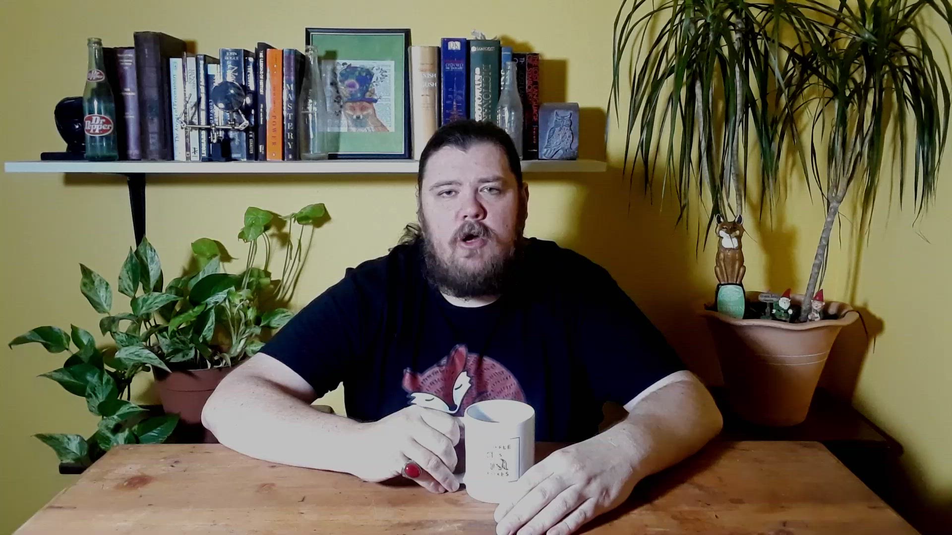'Video thumbnail for Red Fox Facts'