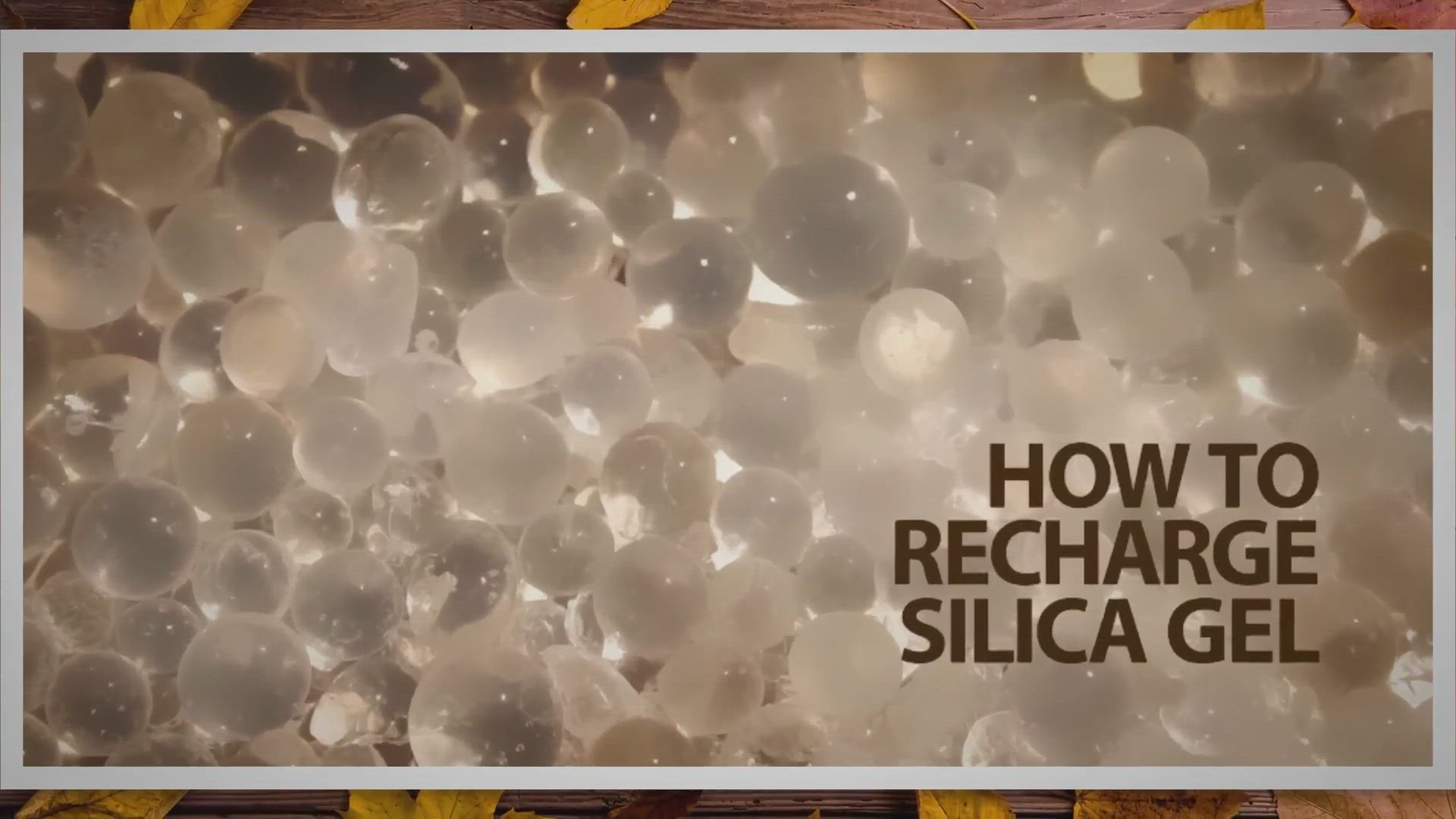 Learn everything about organic silica