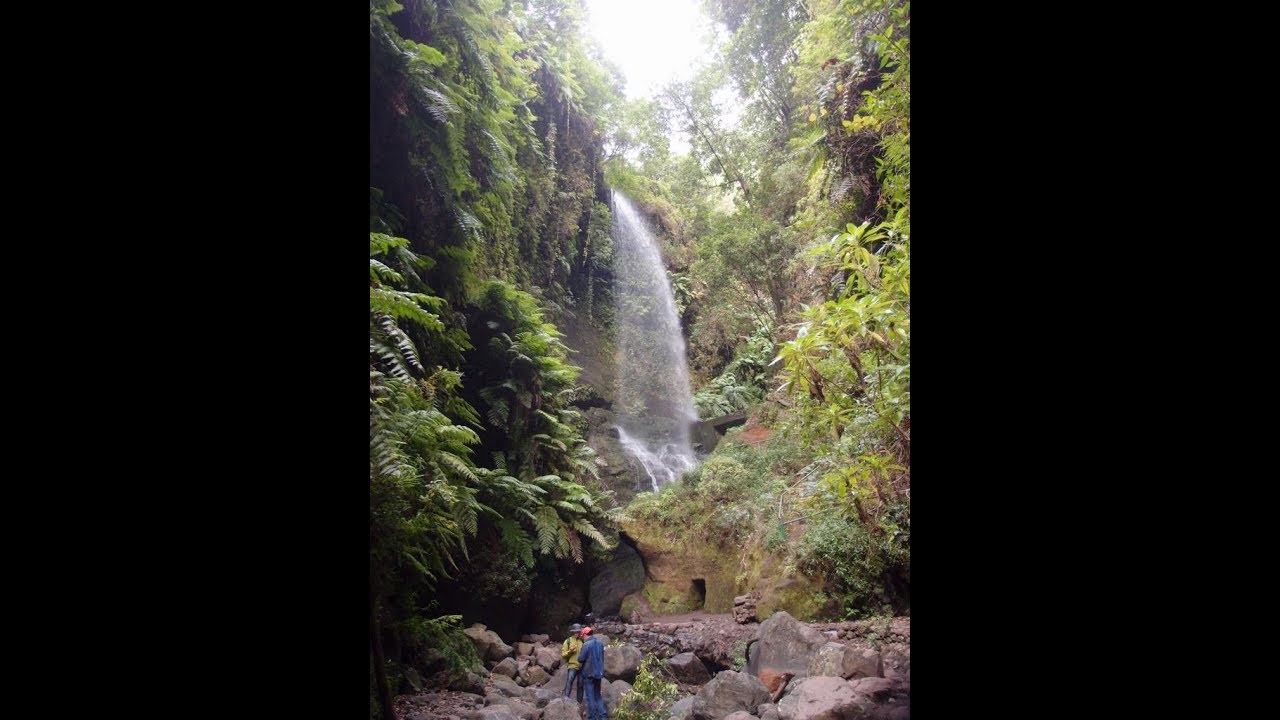 'Video thumbnail for Cascada von Los Tilos - La Palma'
