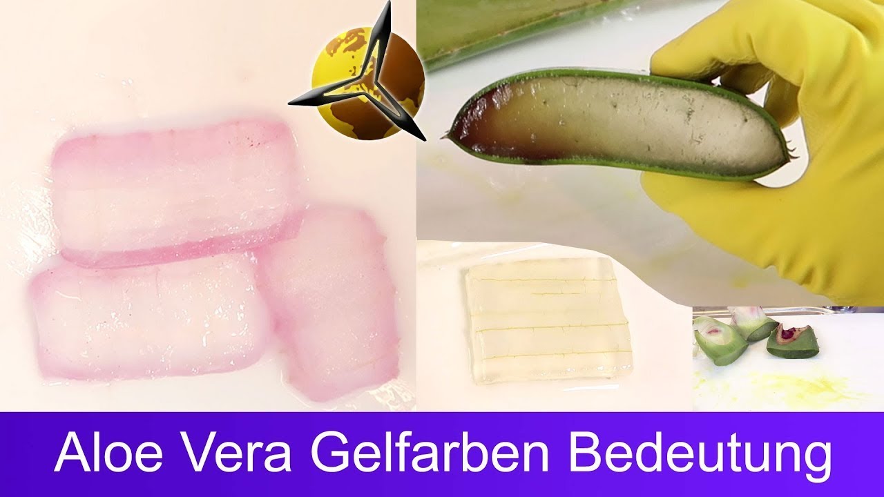 'Video thumbnail for Aloe Vera Gel: Was unterschiedliche Gelfarben bedeuten'
