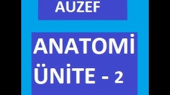 'Video thumbnail for Anatomi Ünite 2 Not ve Sorular ( HAREKET SİSTEMİ )'