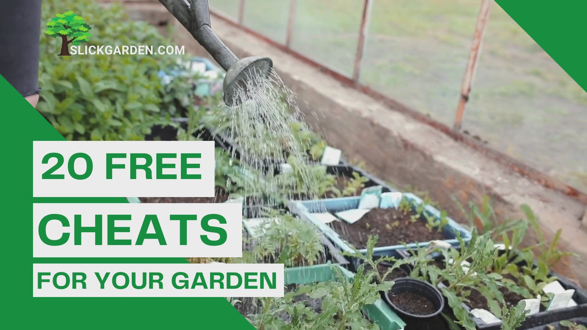 'Video thumbnail for 20 FREE CHEATS FOR YOUR GARDEN'