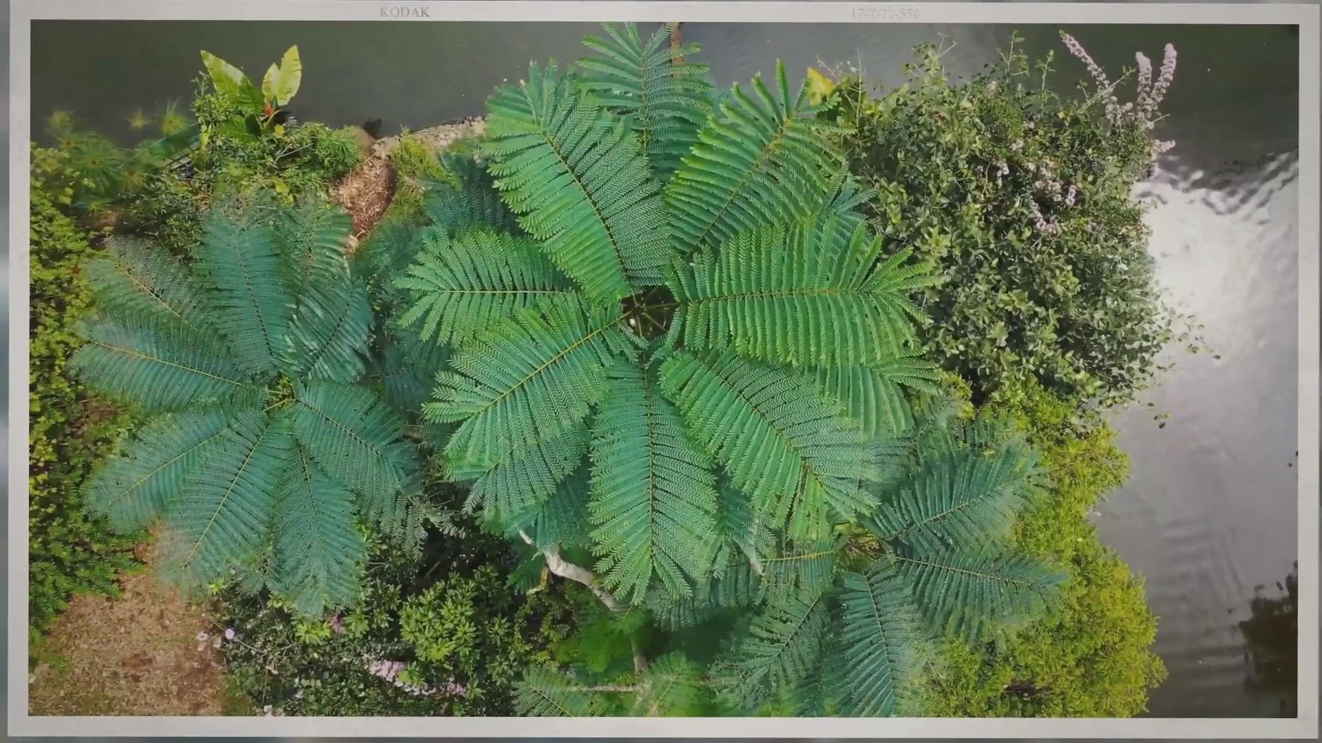 'Video thumbnail for Sunder Nursery, New Delhi India'