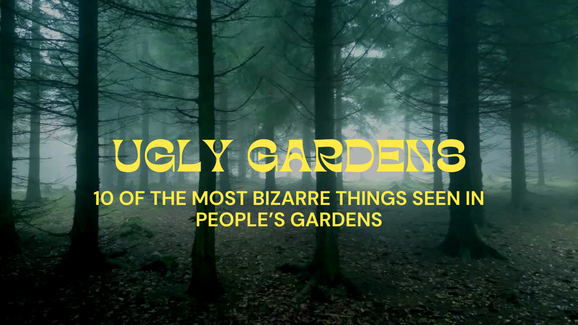 Video thumbnail for 10 Of The Most Bizarre Things Seen In People’s Gardens